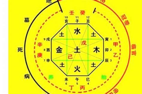 五行喜什么|生辰八字喜用神在线查询